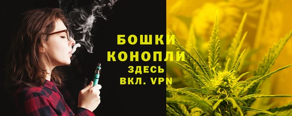 PSILOCYBIN Арсеньев