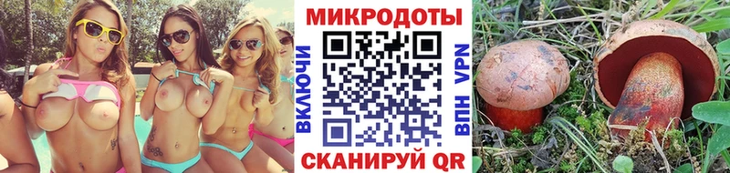Псилоцибиновые грибы Psilocybe  Купить закладки  Скопин 